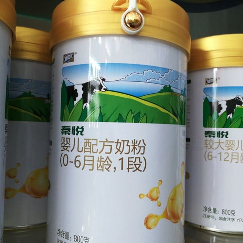 秦乳秦悦鲜奶配方婴儿奶粉 从1段到3段的营养守护之旅
