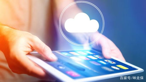 停售之后，互联网保险内卷不再 一个时代的终结与反思